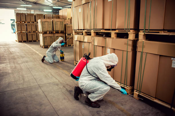 Reliable La Mirada, CA Pest Control Solutions