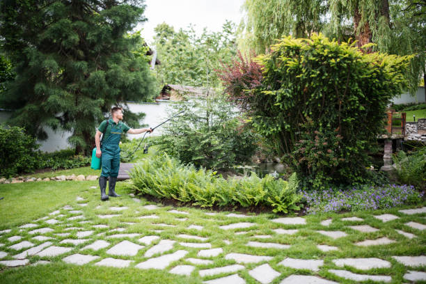 Best Cockroach Control Services  in La Mirada, CA