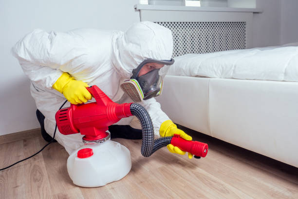 Best Commercial Pest Control Services  in La Mirada, CA