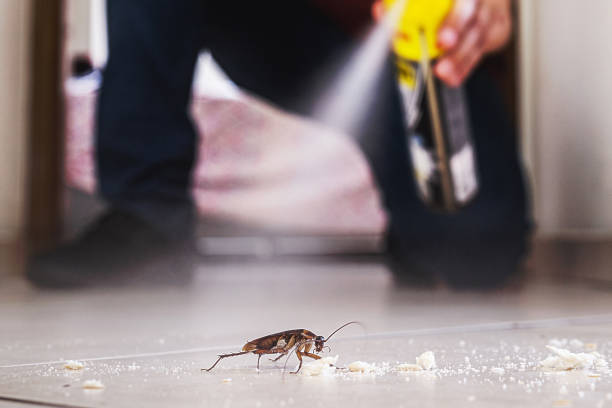 Best Cockroach Control Services  in La Mirada, CA